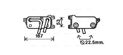 Oil Cooler, automatic transmission BW3401 AVA_0