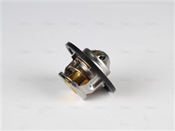 Thermostat, coolant DATS001 AVA_1