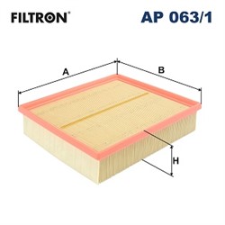 Gaisa filtrs FILTRON AP 063/1_3