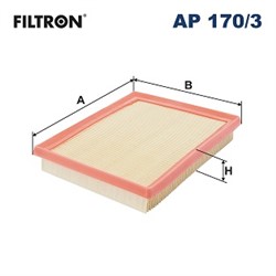 Gaisa filtrs FILTRON AP 170/3_3