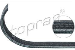 V-Ribbed Belt HP109 659