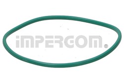 Kütusepump / elemendid IMPERGOM IMP25204