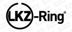 Piston Ring Kit 08-451400-10_2
