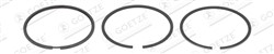Piston Ring Kit 08-501900-10