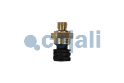 Sensor, oil pressure 2262032COJ_0