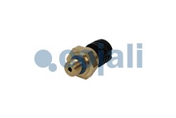 Sensor, oil pressure 2262032COJ_1