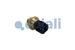 Sensor, oil pressure 2262032COJ_2