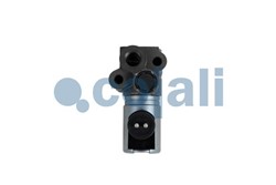 Solenoid valve 2818001COJ_2