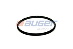 Seal Ring, steering knuckle (leaf spring hanger) AUG55104_1