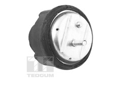 Engine mount TED12723_1
