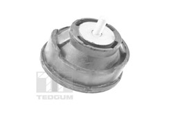 Engine mount TED12723