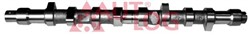 Camshaft NW5012